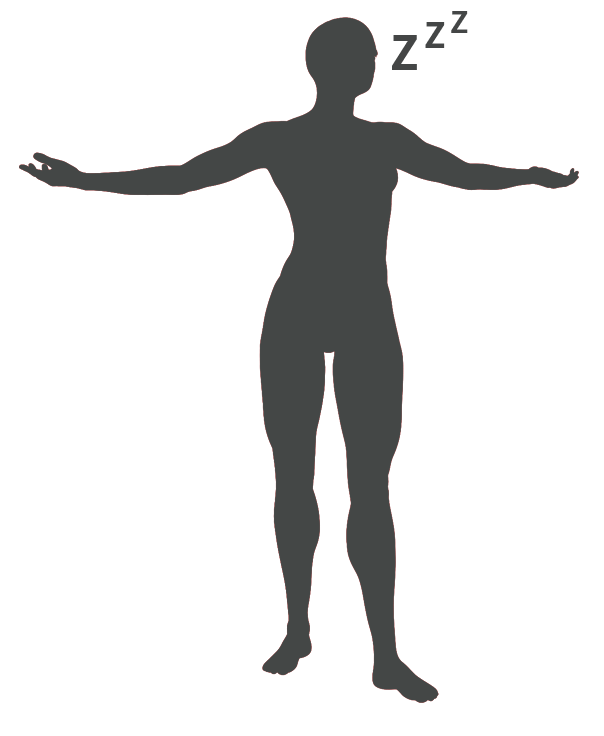 Chiropracteur pour soigner la fatigue excessive